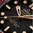 Seamaster Diver 300M 42 mm, Bronze gold on Bronze gold Ref. 210.90.42.20.01.003