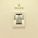 Rolex Oyster Perpetual 34 Ref. M124200-0006