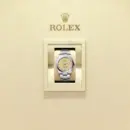 Rolex Oyster Perpetual 36 Ref. M126000-0012