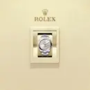 Rolex Oyster Perpetual 41 Ref. M134300-0001