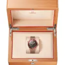 Seamaster Diver 300M 42 mm, Bronze gold on Bronze gold Ref. 210.90.42.20.01.003