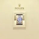 Rolex Oyster Perpetual 36 Ref. M126000-0013