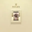 Rolex Cosmograph Daytona Ref. M126505-0005